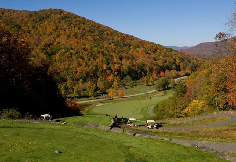 Allegheny Springs Snowshoe Eksteriør bilde