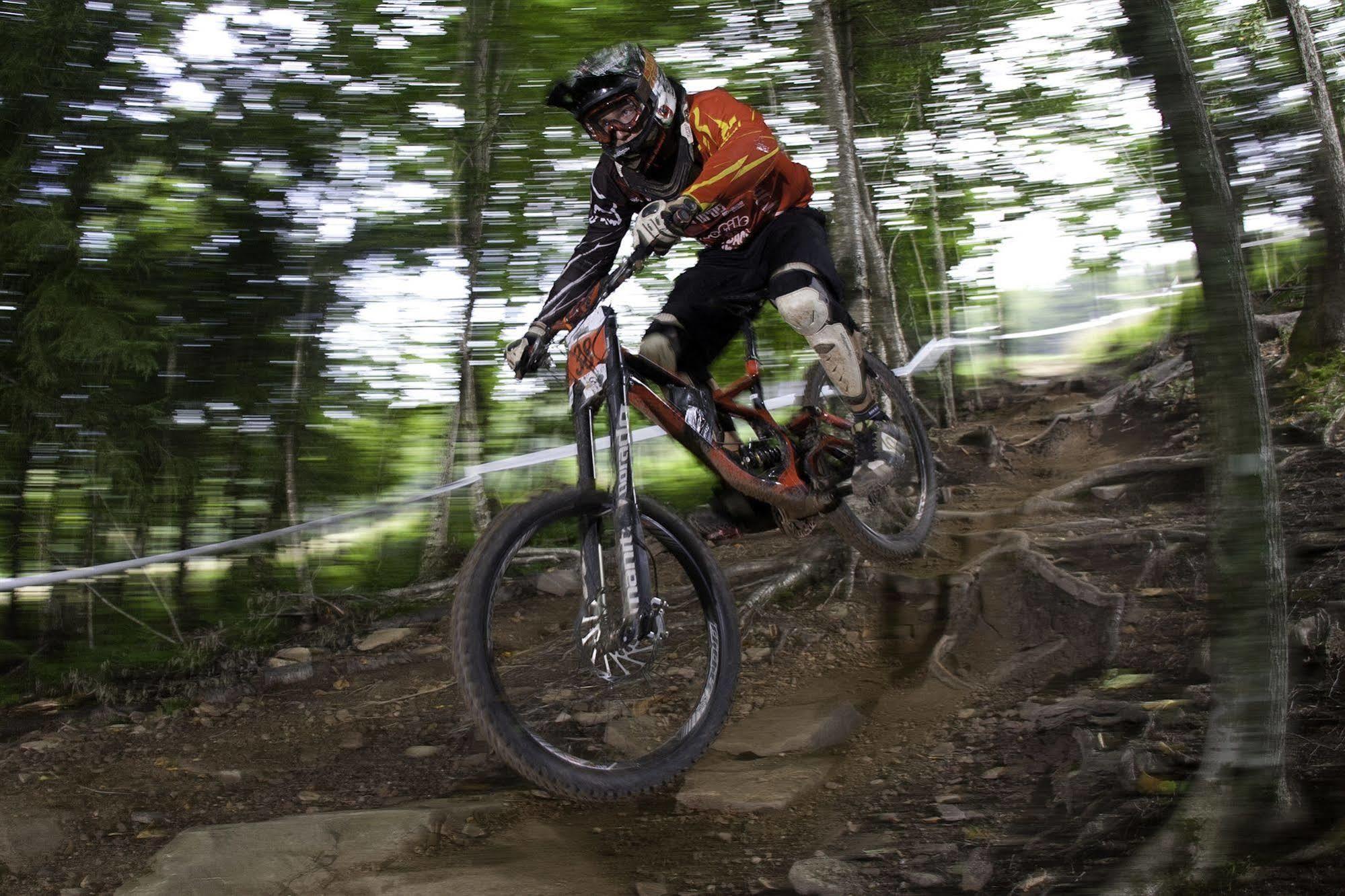 Allegheny Springs Snowshoe Eksteriør bilde