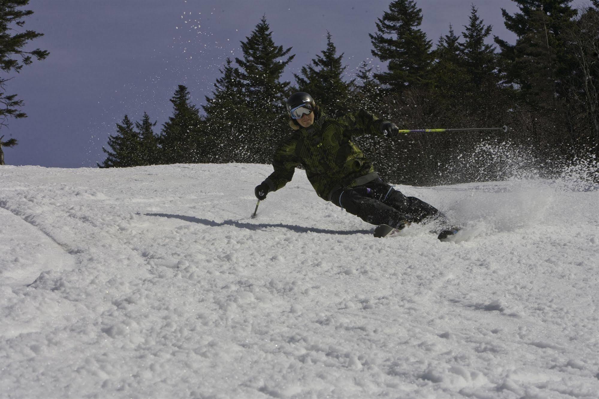 Allegheny Springs Snowshoe Eksteriør bilde