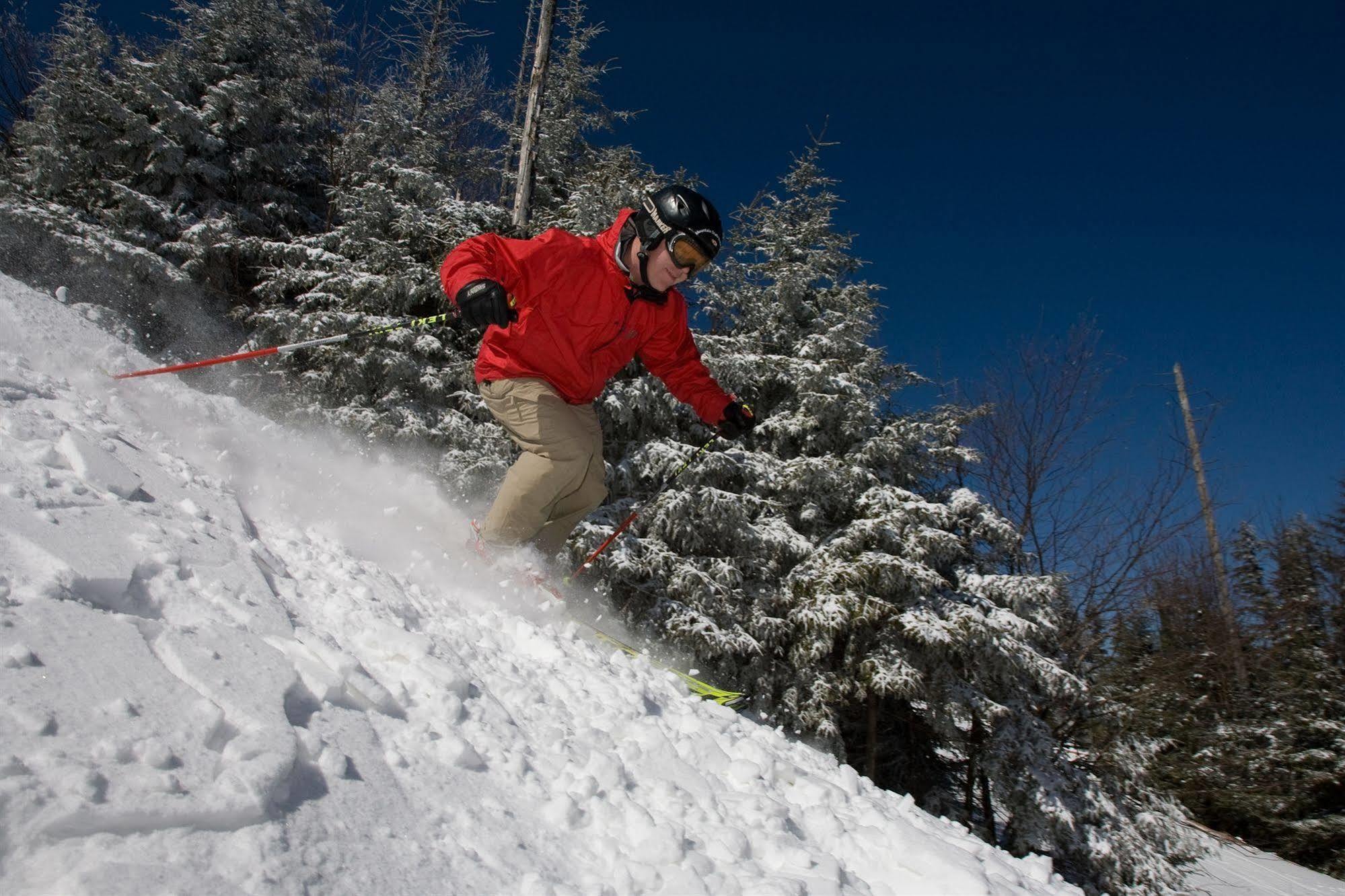 Allegheny Springs Snowshoe Eksteriør bilde