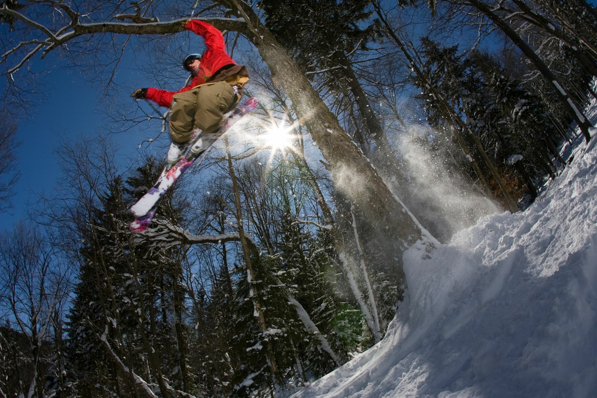 Allegheny Springs Snowshoe Eksteriør bilde