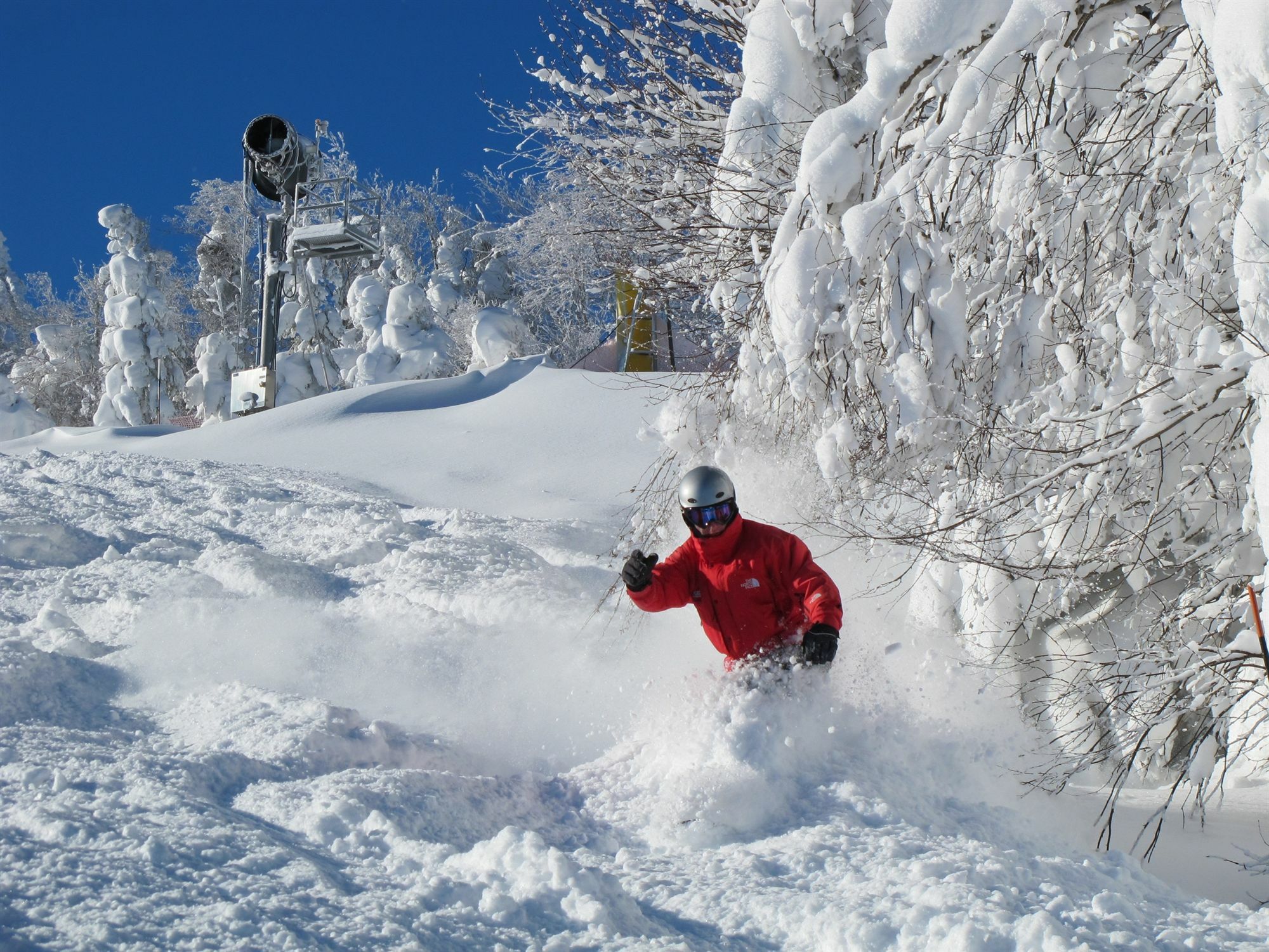 Allegheny Springs Snowshoe Eksteriør bilde