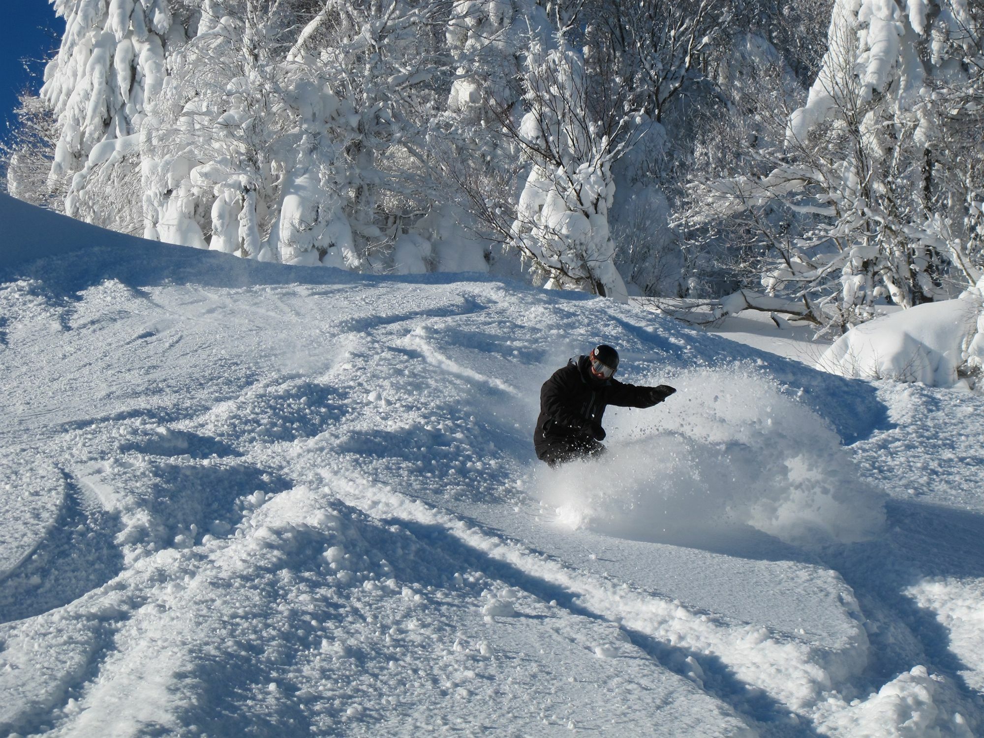 Allegheny Springs Snowshoe Eksteriør bilde